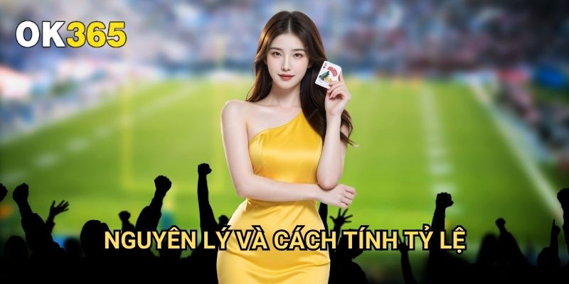 Kèo Châu Á Ok365: Hướng Dẫn Toàn Diện Cho Người Mới Bắt Đầu 2 Nguyên Lý Và Cách Tính Tỷ Lệ