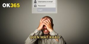 Quên Mật Khẩu Ok365: Khôi Phục Tài Khoản Nhanh Chóng Và An Toàn